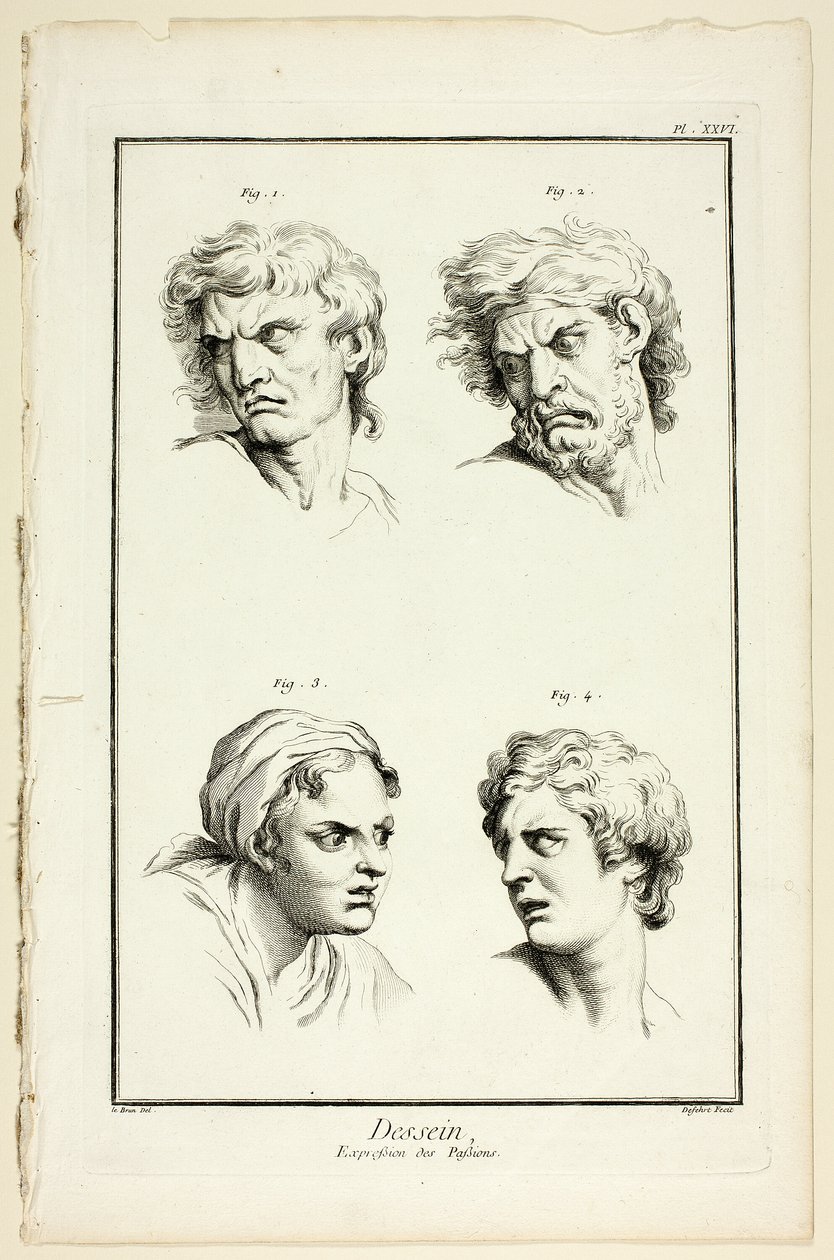 Disegno: Espressioni di emozione (Odio o gelosia, Rabbia, Desiderio, Dolore fisico), da Encyclopédie da A. J. Defehrt