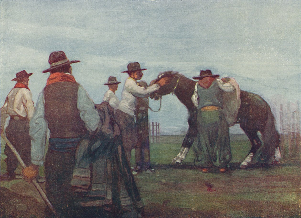 Gauchos che domano un giovane cavallo, 1916 da A. S. Forrest