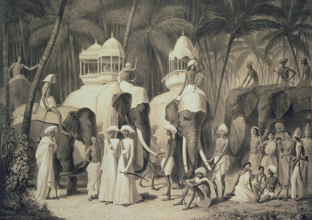 Elefanti del Raja di Travandrum, da 