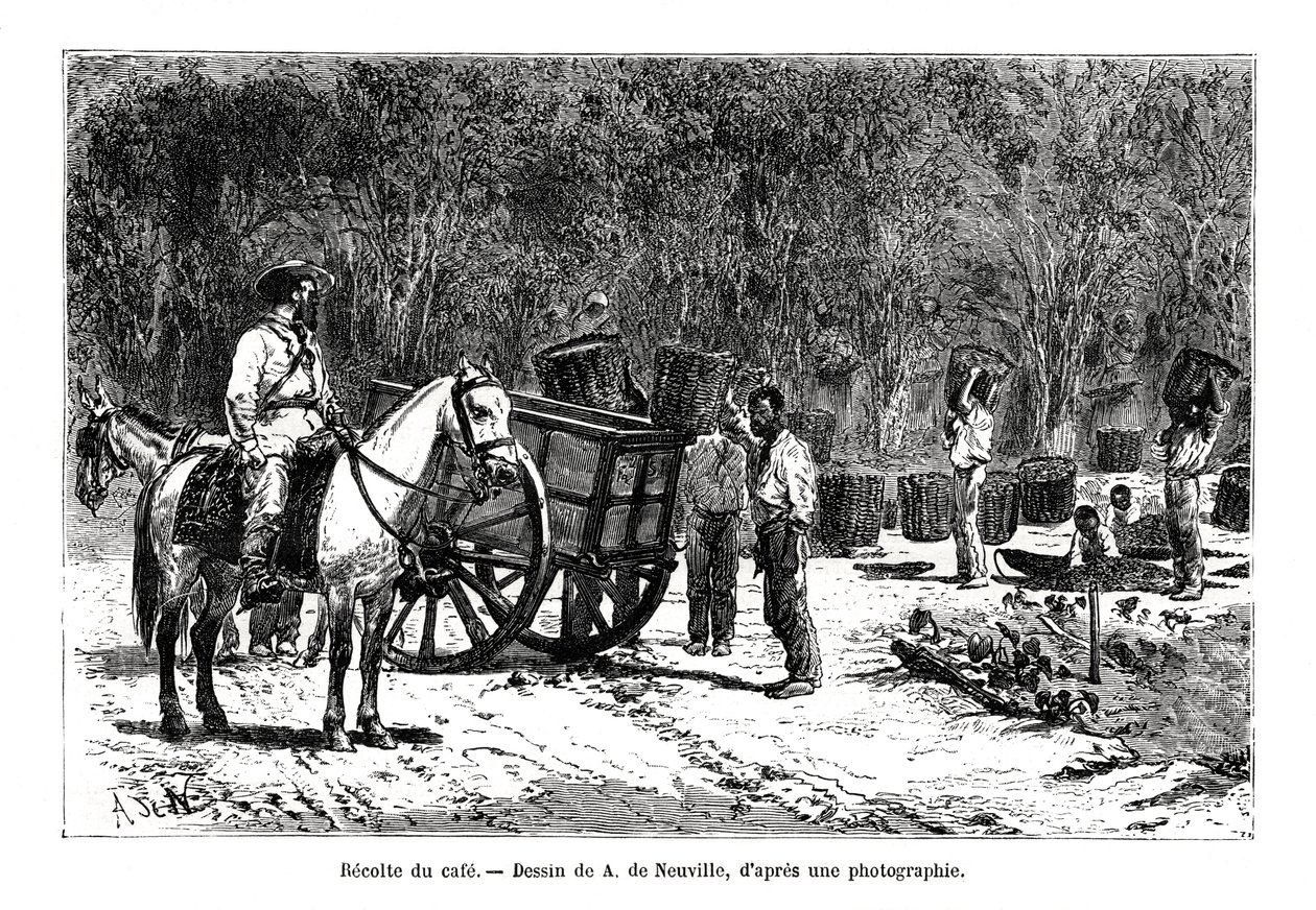 Raccolta del caffè, Brasile da A. de Neuville