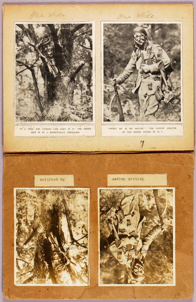 Britische Scharfschützen-Tarnung (frühe Bilder), Studienmappe für das Buch Concealing Coloration in the Animal Kingdom da Abbott Handerson Thayer