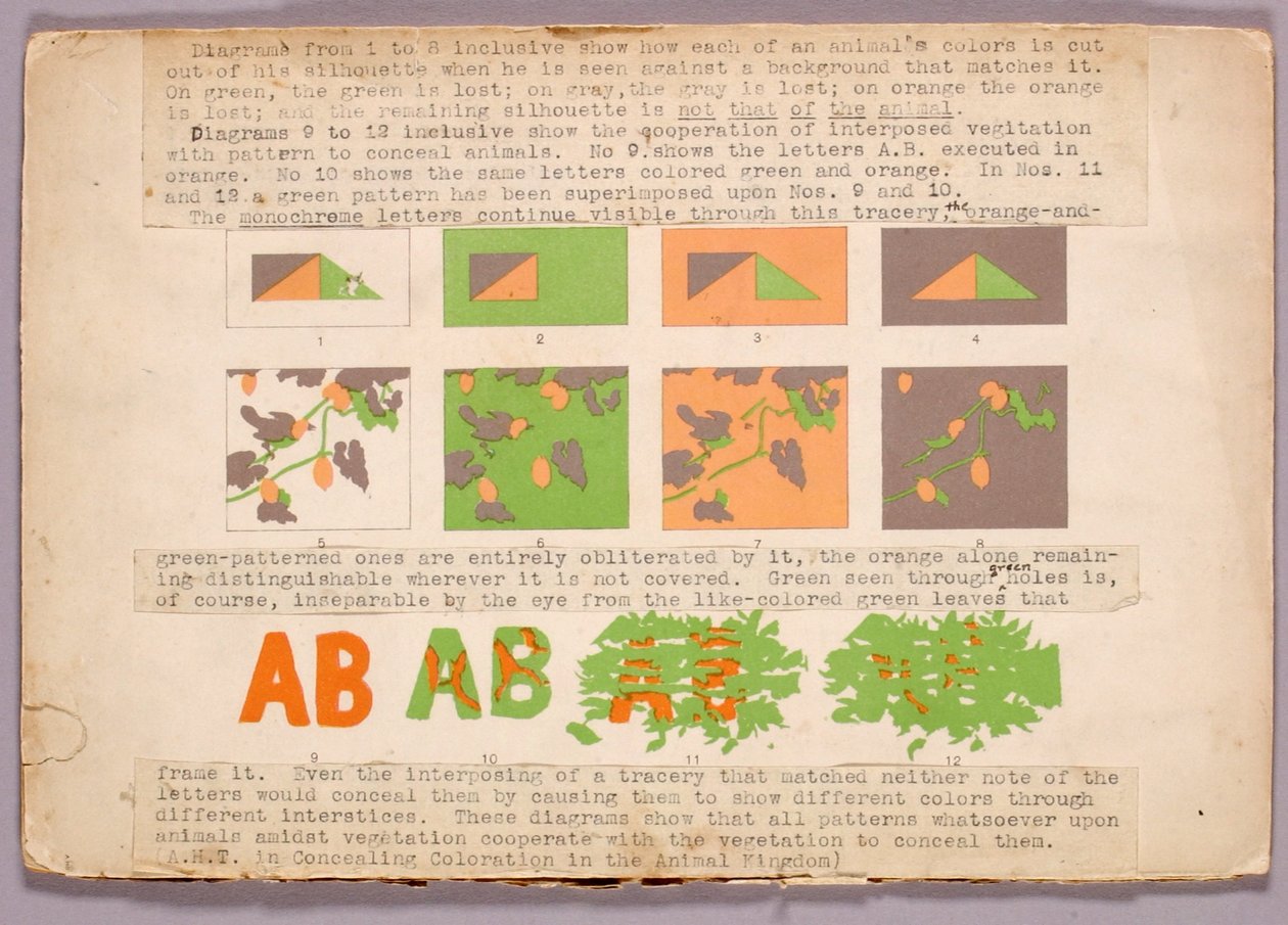 Diagramm und Kupferkopfschlange, Studienmappe für das Buch Concealing Coloration in the Animal Kingdom da Abbott Handerson Thayer