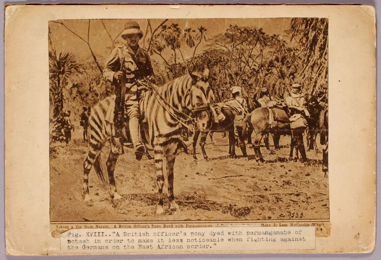 Cavallo e incrociatore mimetizzati, cartella di studio per il libro La colorazione occultabile nel regno animale da Abbott Handerson Thayer