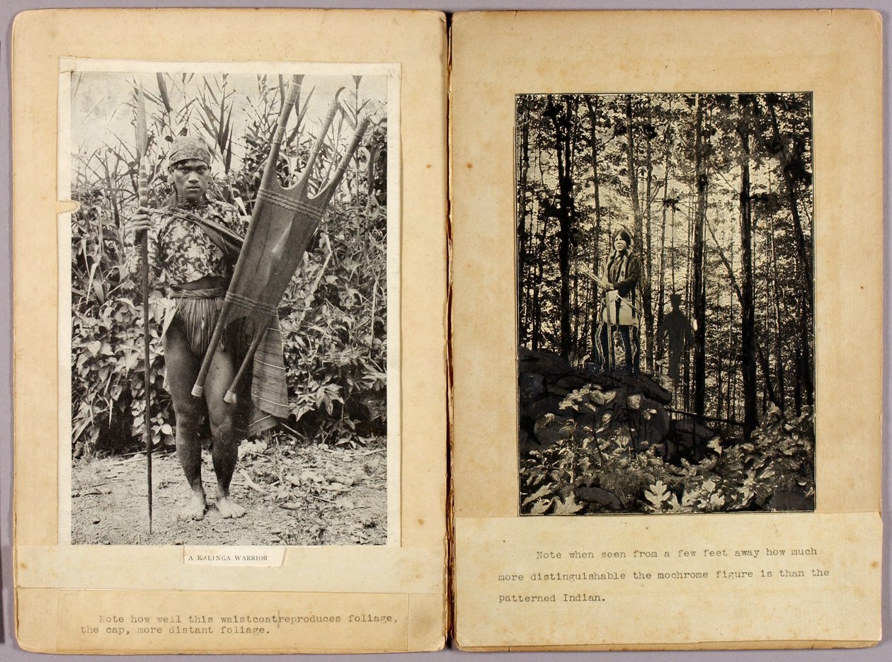 Guerrieri Kalinga e indiani nordamericani, cartella di studio per il libro La colorazione nascosta nel regno animale da Abbott Handerson Thayer
