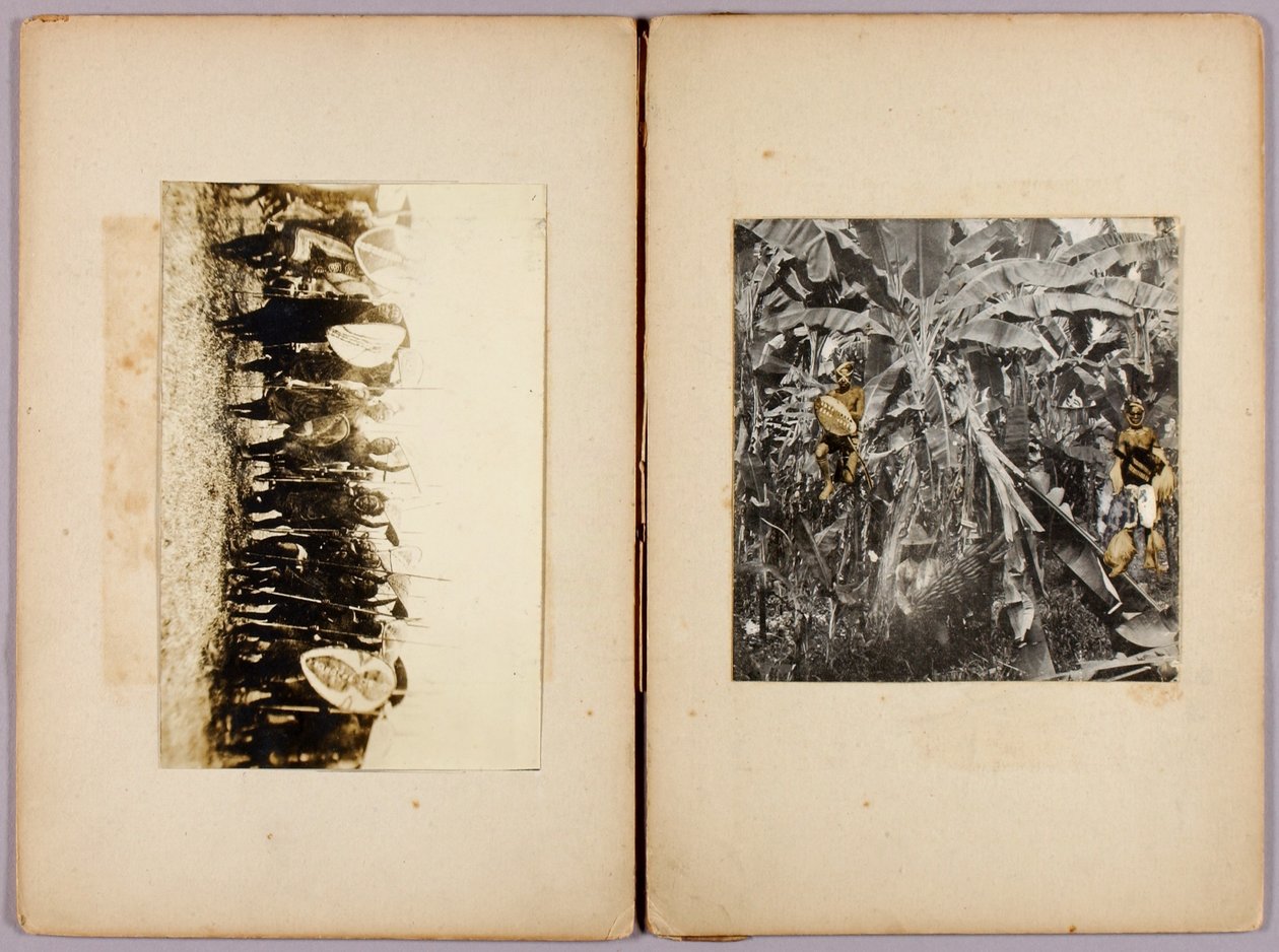 Māori e altri selvaggi, cartella di studi per il libro Concealing Coloration in the Animal Kingdom da Abbott Handerson Thayer