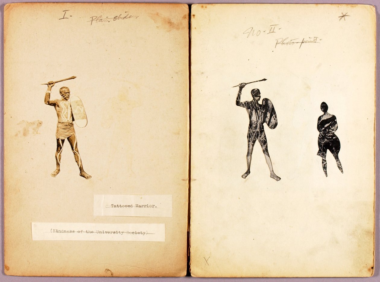 Tatuaggio - Guerriero singolo, cartella di studio per il libro Nascondere la colorazione nel regno animale da Abbott Handerson Thayer