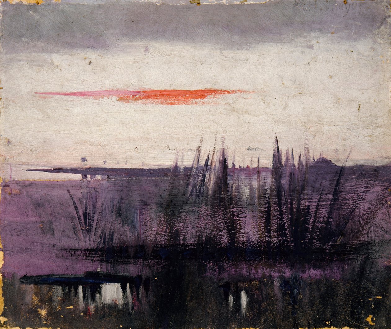 Il cielo simulato dai fenicotteri bianchi studio per il libro, Nascondere la colorazione nel regno animale da Abbott Handerson Thayer