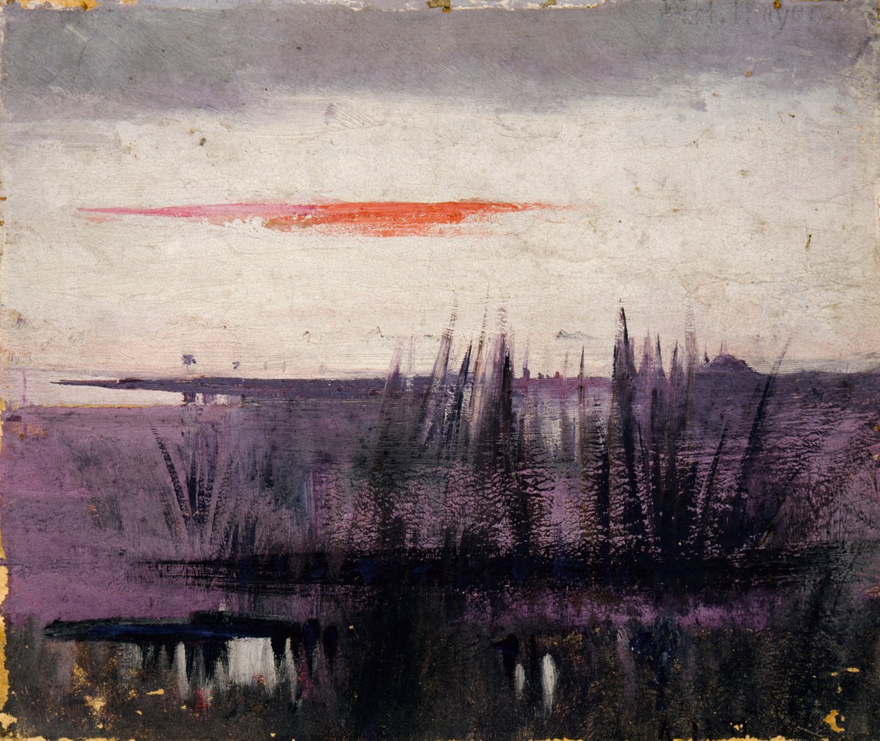 Il Cielo Simulato da Fenicotteri Bianchi studio per libro..., nel Regno Animale da Abbott Handerson Thayer