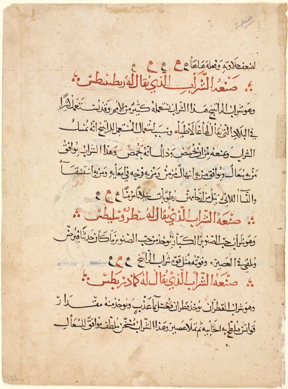 Pagina di testo da una Materia Medica di Dioscoride, c. 1224 da Abdallah ibn al Fadl