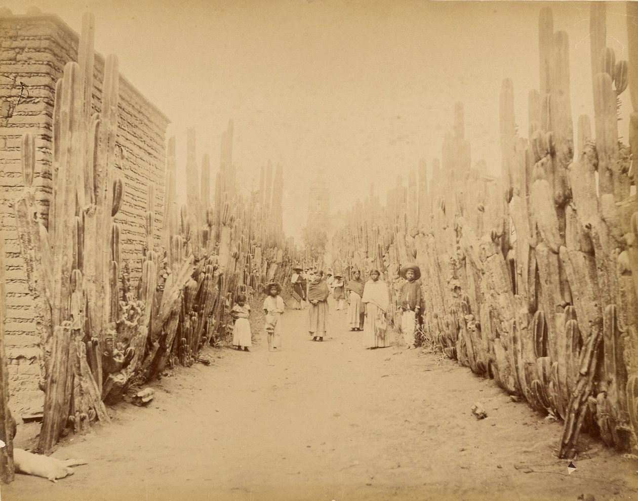 Messico. Strada del villaggio di San Juan, Stato del Messico. da Abel Briquet