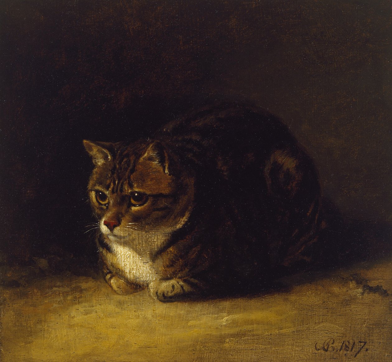 Studio di un Gatto, 1817 da Abraham Cooper