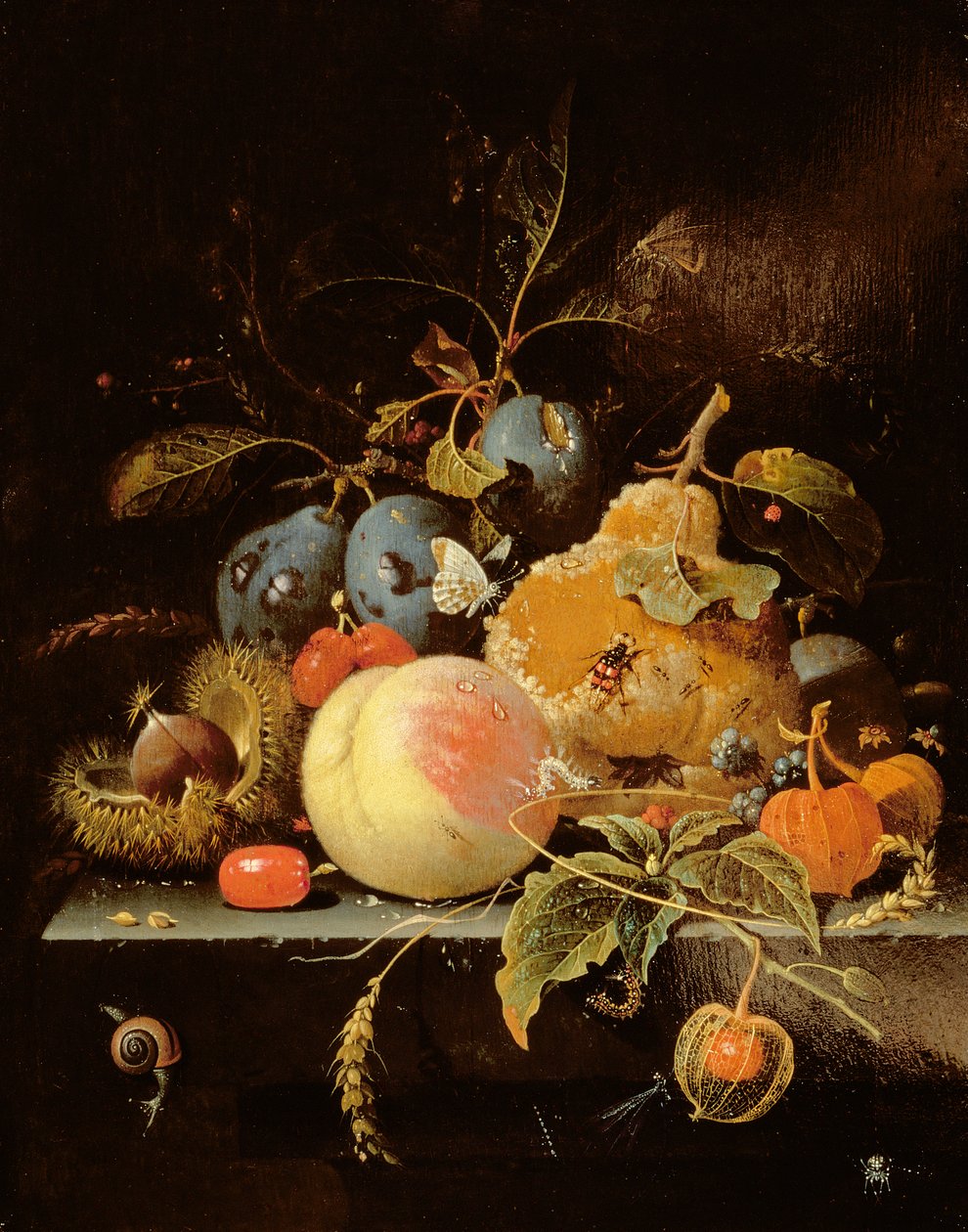 Natura morta di frutta e noci su un cornicione di pietra da Abraham Mignon