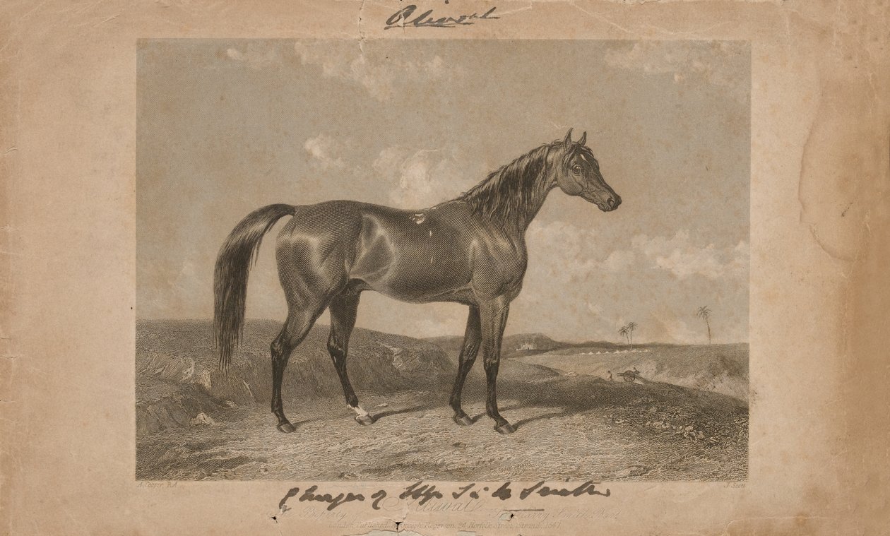 Aliwal, la proprietà di Sir Harry Smith, Bart (litografia) da Abraham (after) Cooper