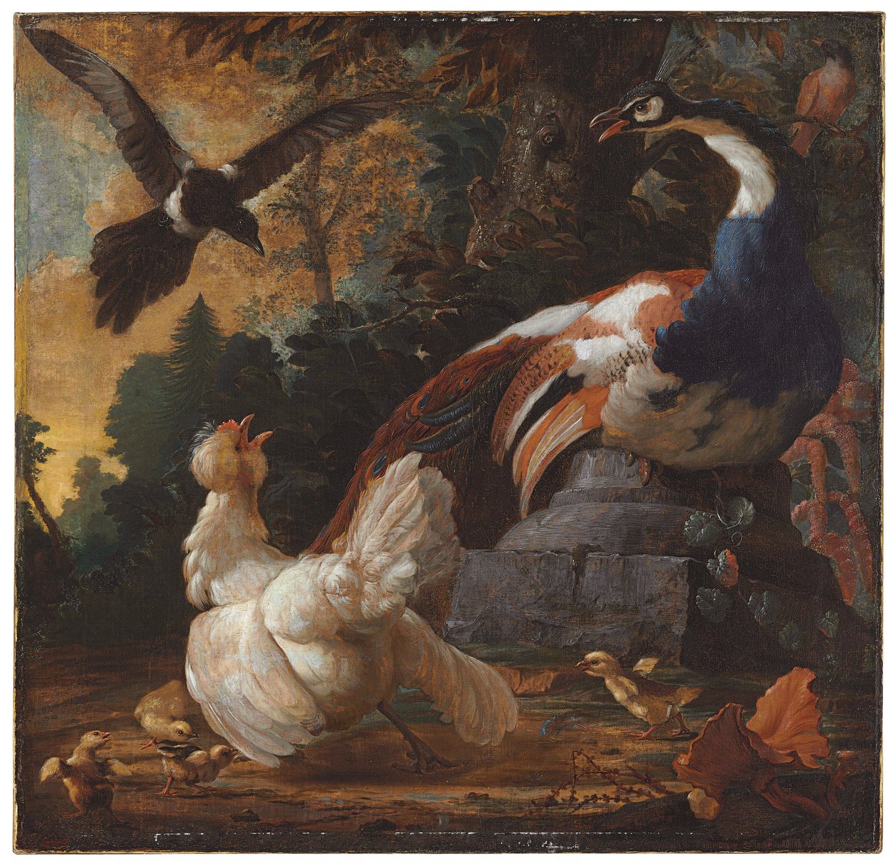 Un pavone, pollame e una gazza in un paesaggio, 1720 da Abraham Bisschop