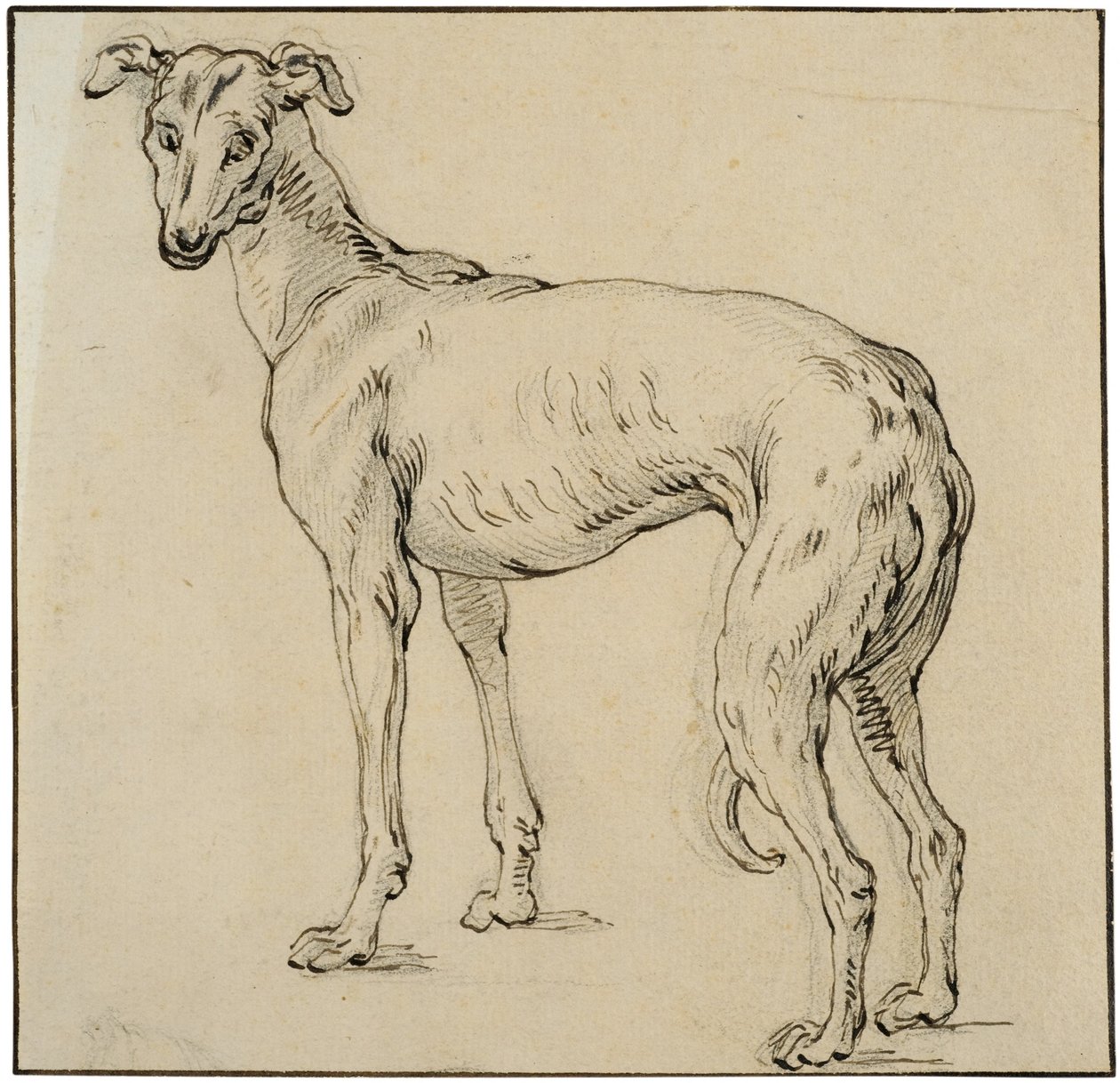 Levriero da Abraham Bloemaert