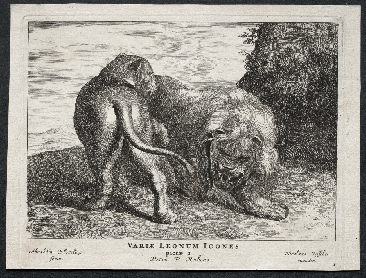 Vari leoni da Abraham Blooteling