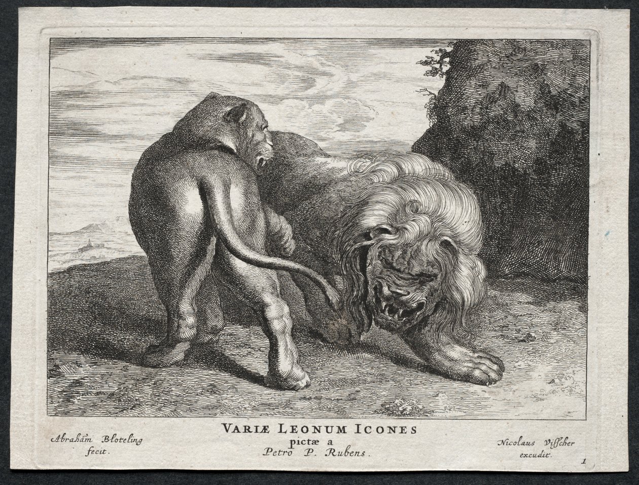 Vari leoni da Abraham Blooteling