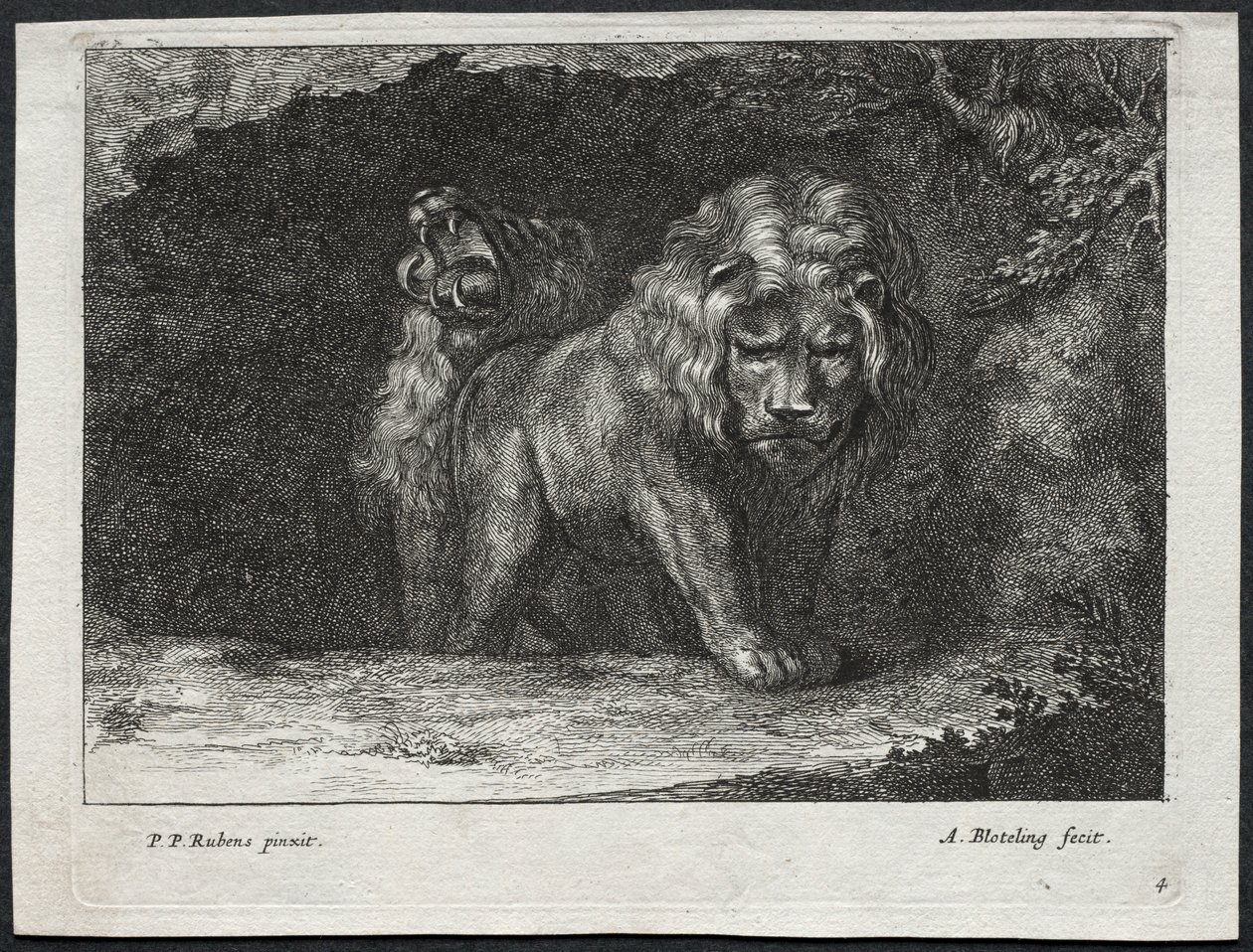 Vari leoni da Abraham Blooteling