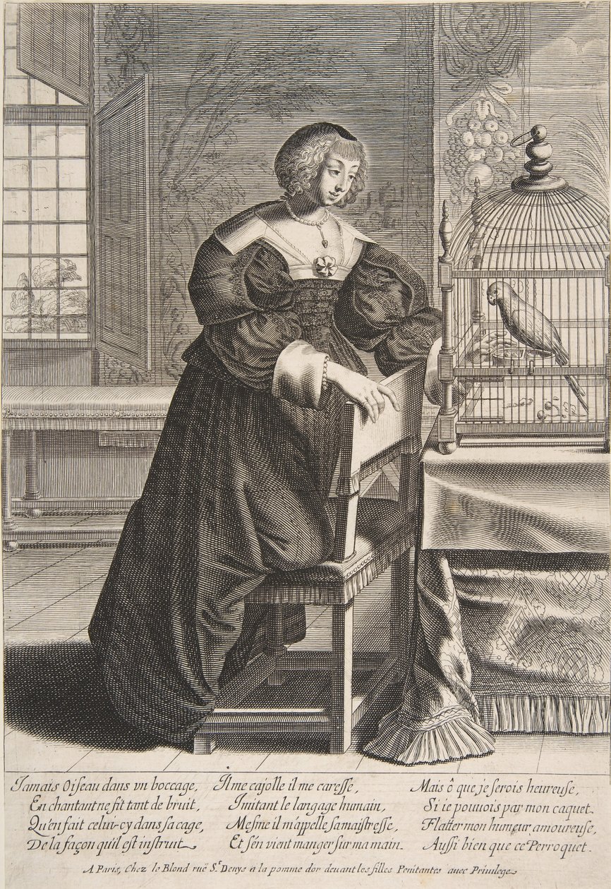 Il pappagallo, 1620-76 da Abraham Bosse