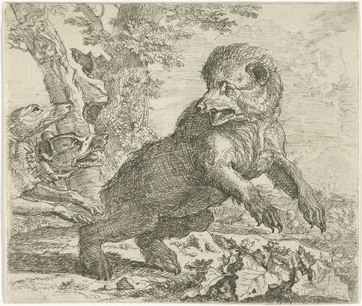 Orso attaccato da cani da Abraham Danielsz. Hondius