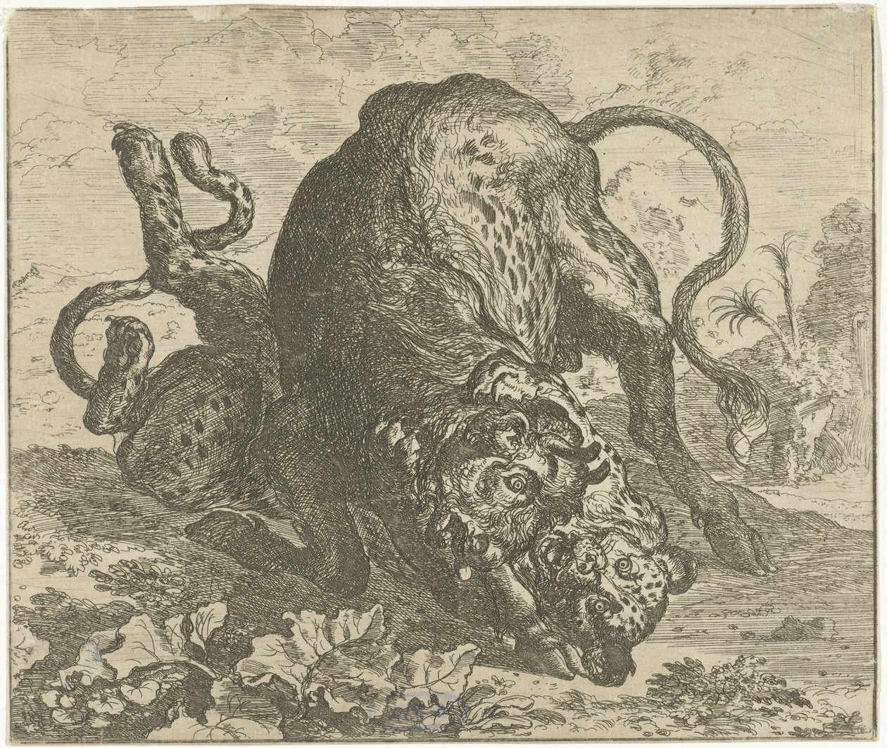 Leopardo e toro da Abraham Danielsz. Hondius