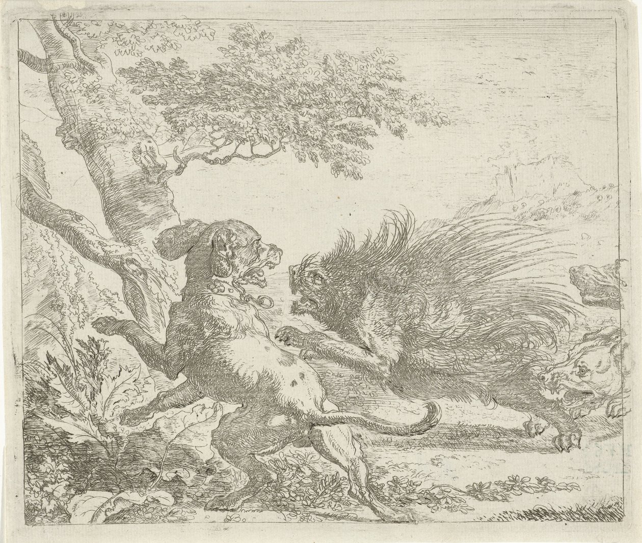 Porcospino attaccato da cani da Abraham Danielsz. Hondius