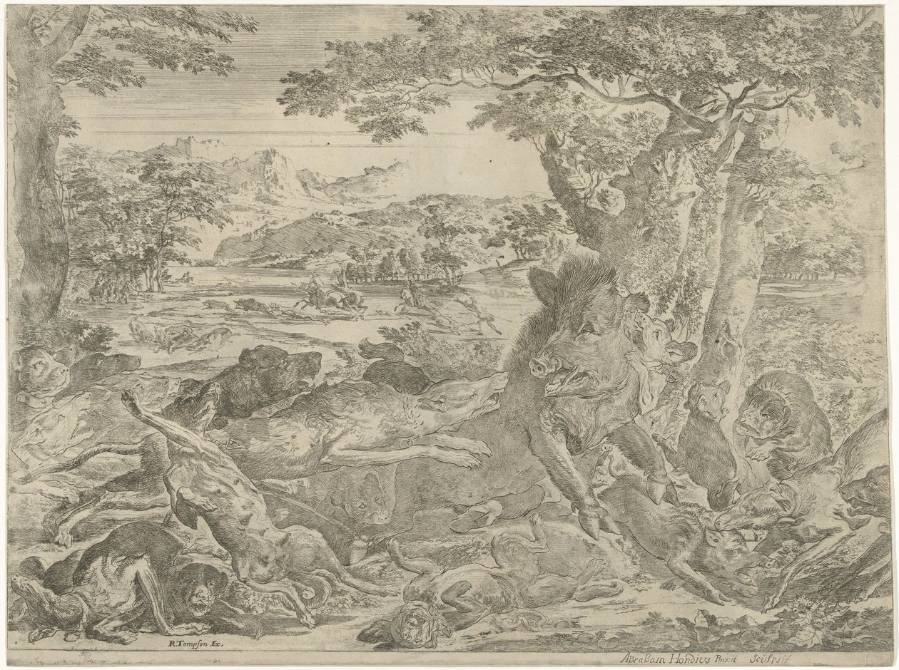 Cinghiale attaccato dai cani da Abraham Danielsz. Hondius
