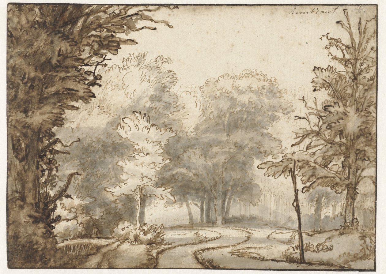 Strada attraverso il bosco da Abraham Furnerius