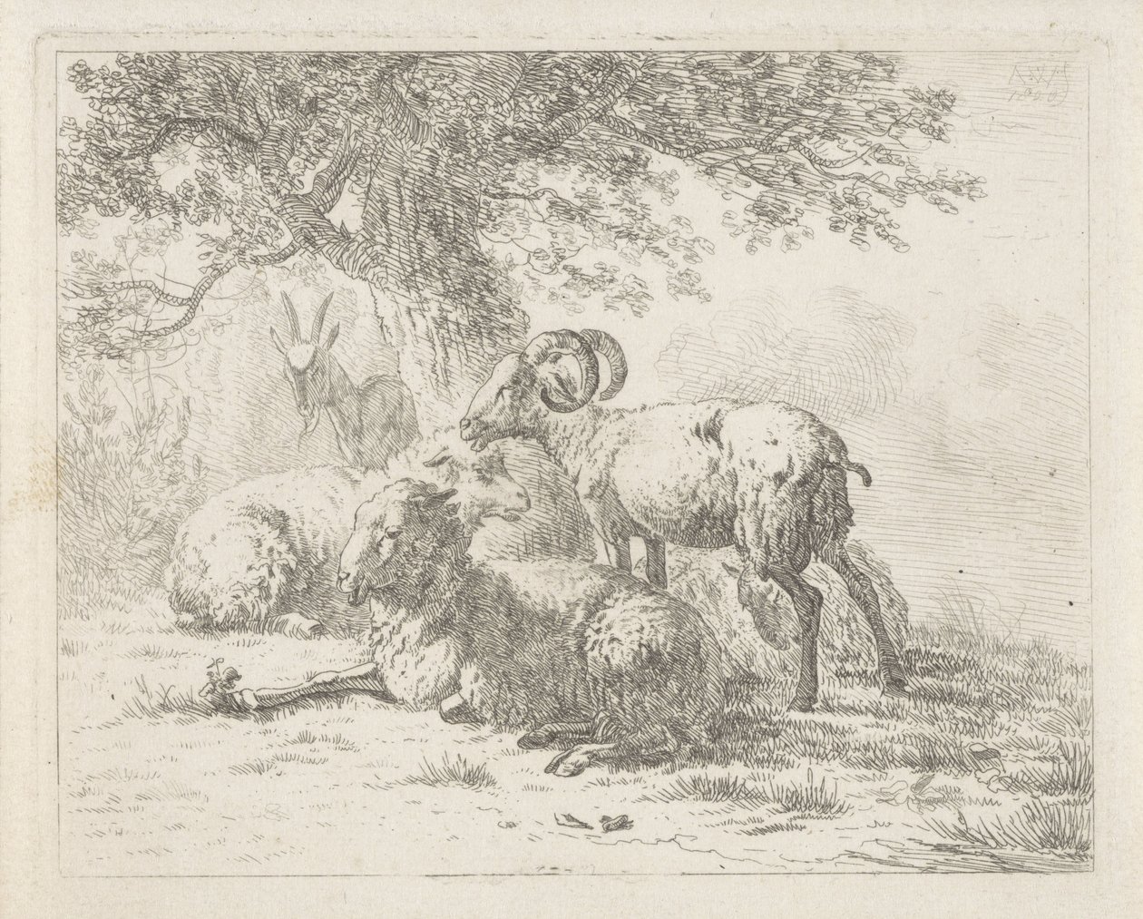 Pecore e un caprone da Abraham Hendrik Winter