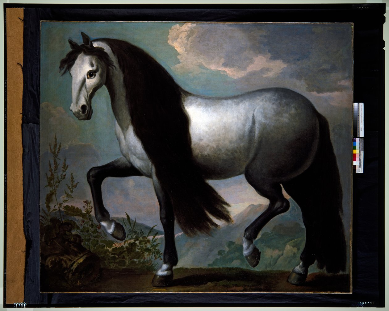 Cavallo in un paesaggio da Abraham Jansz. van Diepenbeeck