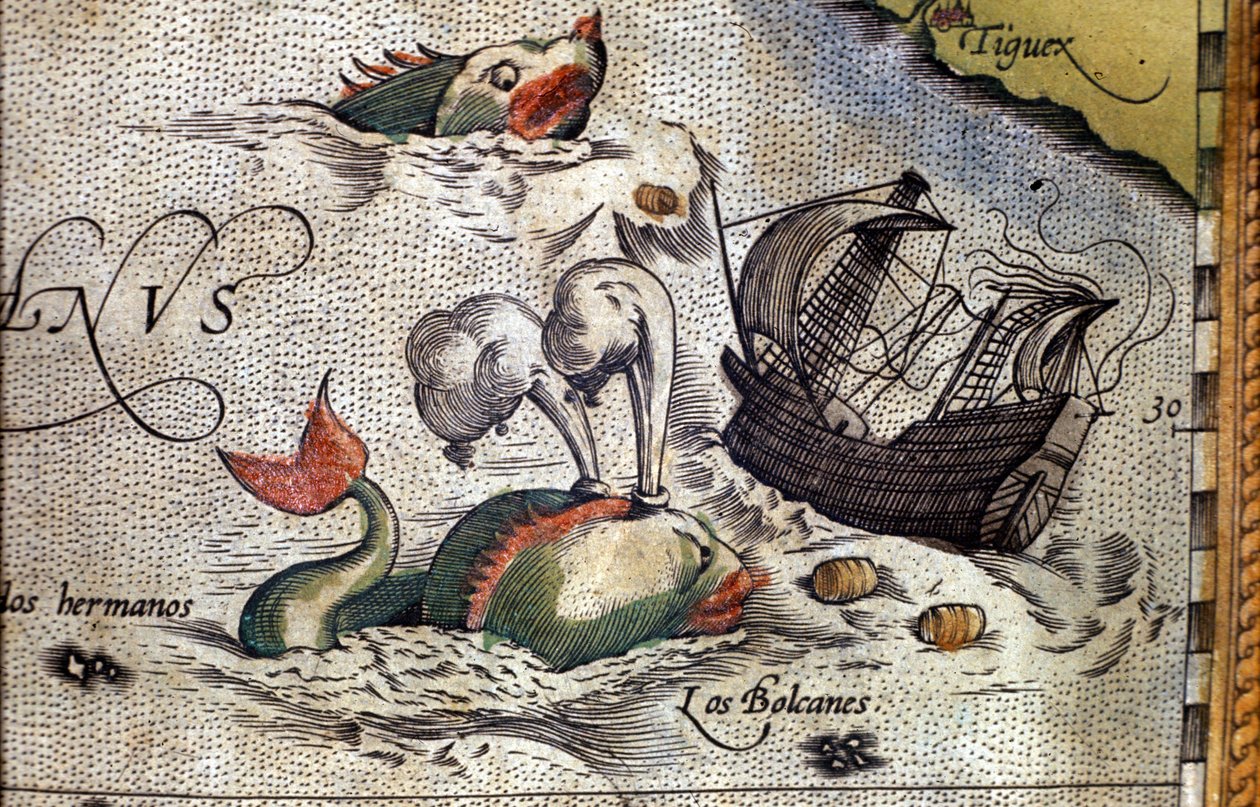 Una balena attacca una nave. Tavola da un