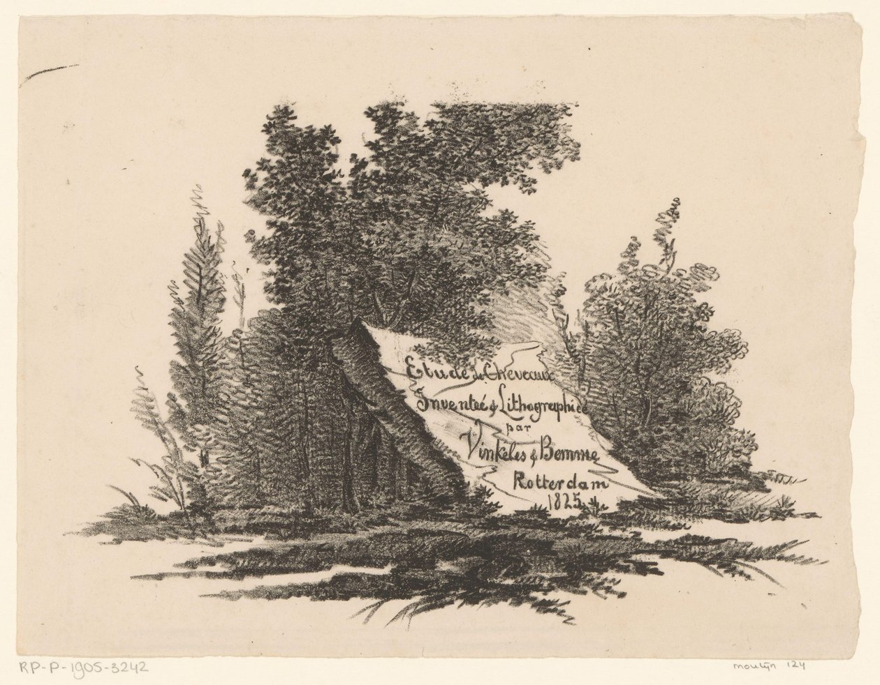 Pietra nel paesaggio (Studio di cavalli) da Abraham Vinkeles