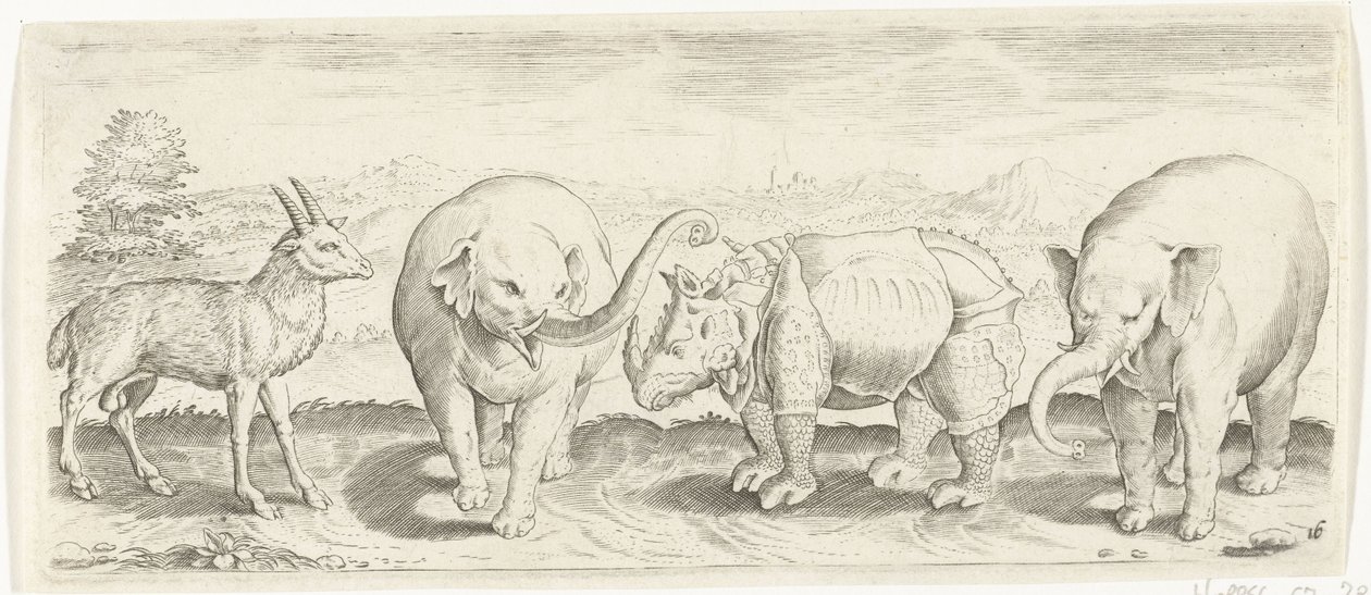 Gazzella, elefante e rinoceronte da Abraham de Bruyn (possibly)