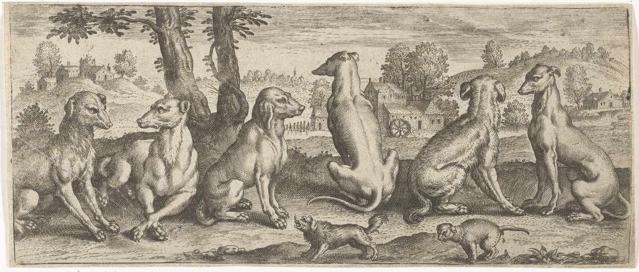 Cani da Abraham de Bruyn (possibly)