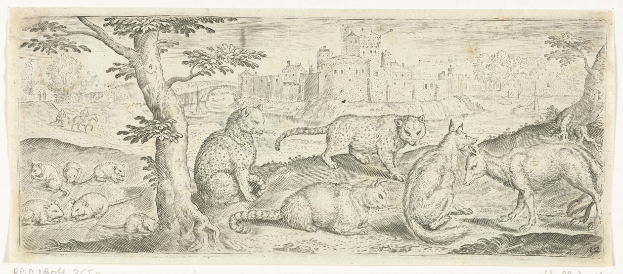 Ratti, gatti e volpi, Animali (titolo della serie) da Abraham de Bruyn (possibly)