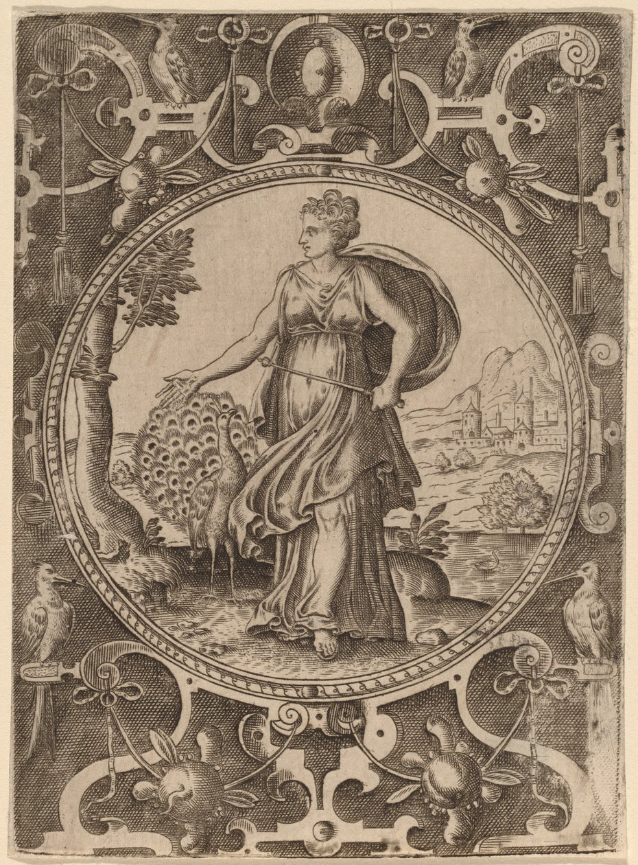 Giunone da Abraham de Bruyn