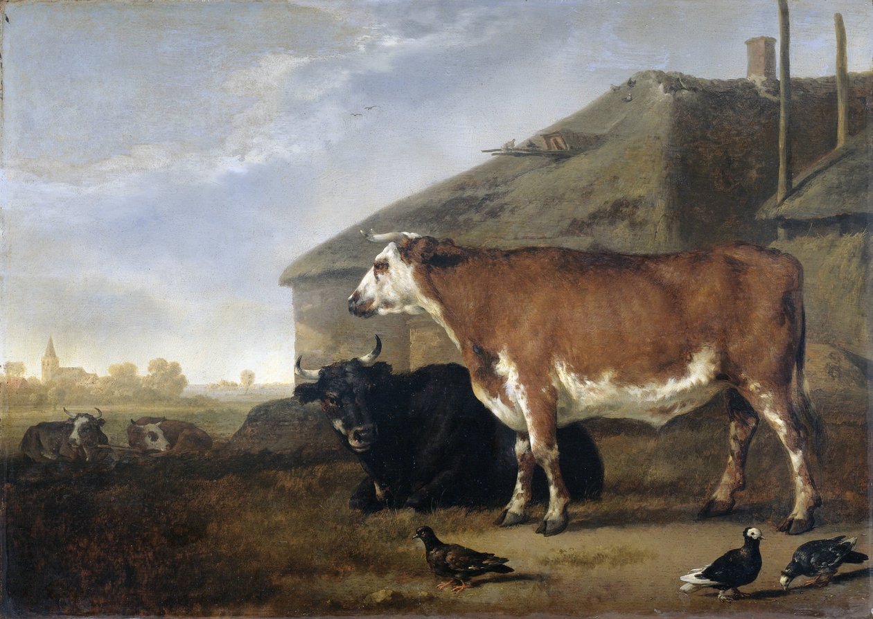 Bovini da Abraham van Calraet