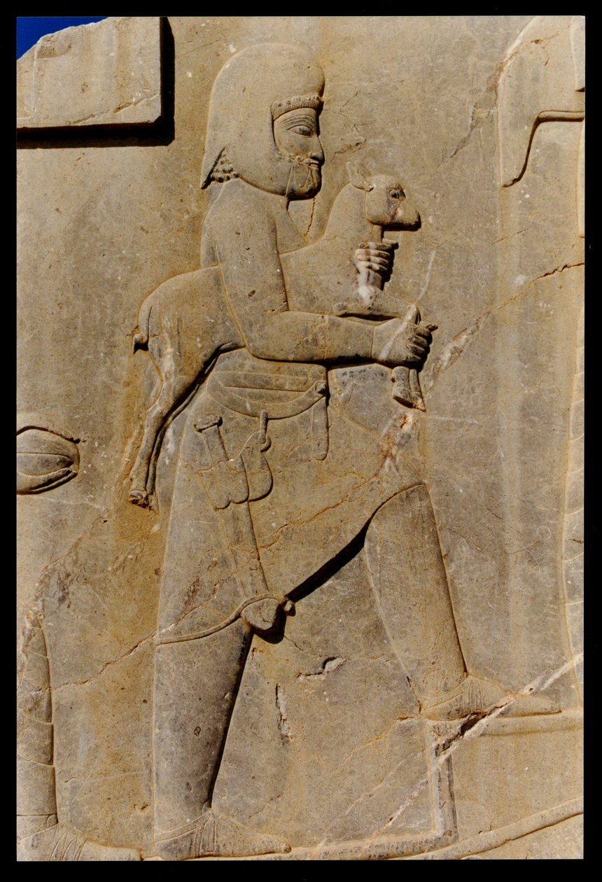Un Medo che porta un agnello sacrificale sulla scalinata orientale del portico sud del palazzo di Dario da Achaemenid