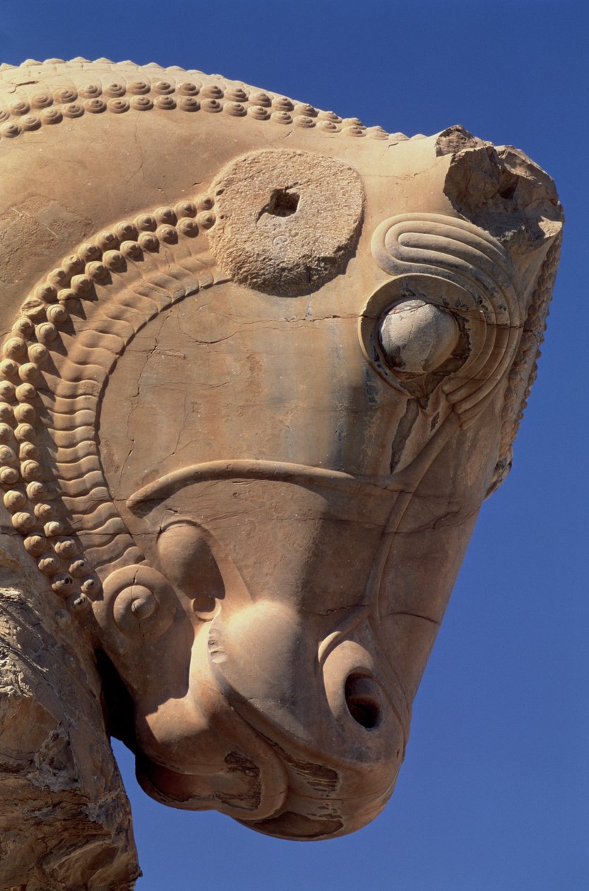 Testa di toro sul portico settentrionale della Sala del Trono di Serse da Achaemenid