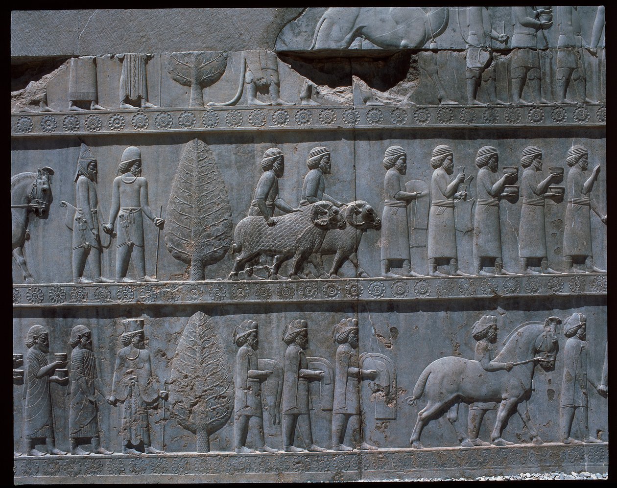 Vista dei rilievi delle scale orientali da Achaemenid