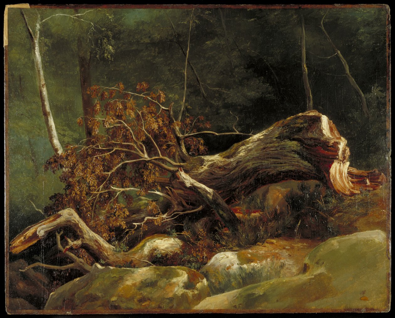 Il ramo caduto, Fontainebleau, c.1816 da Achille Etna Michallon