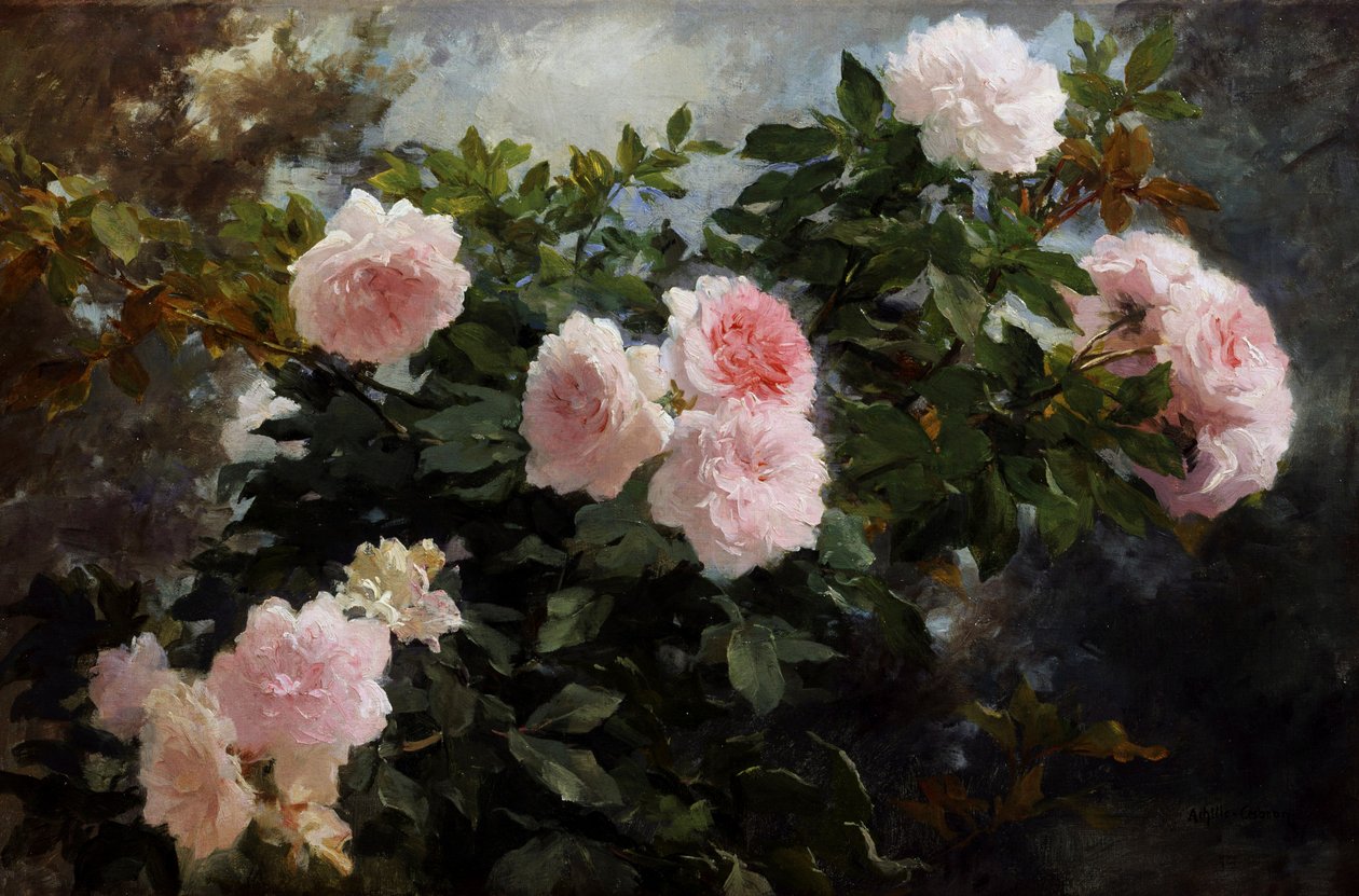 Natura morta di rose. Dipinto di Achille Theodore Cesbron (1849-1913) Collezione privata. da Achille Theodore Cesbron