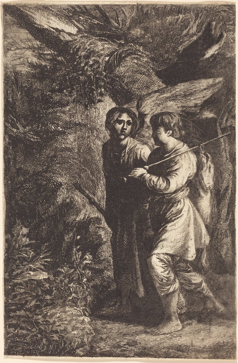Tobia e l