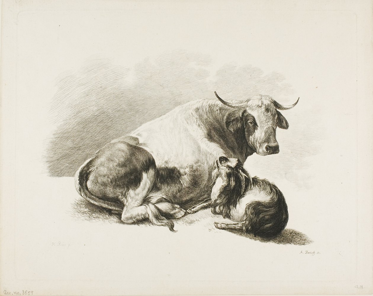 Pezzo animale da Adam von Bartsch