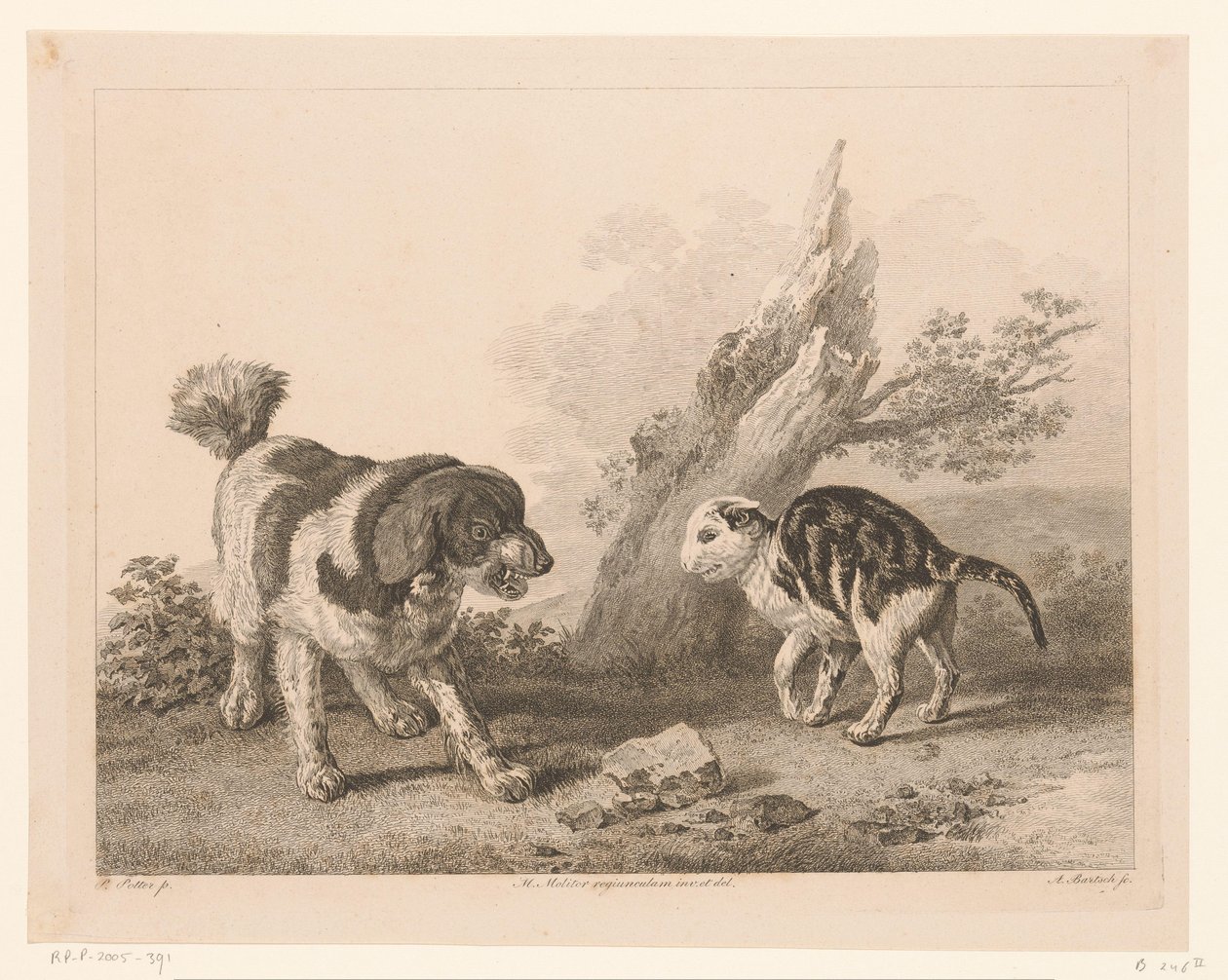 Cane e gatto in posizione di combattimento (serie: Animali dai dipinti di maestri olandesi) da Adam von Bartsch