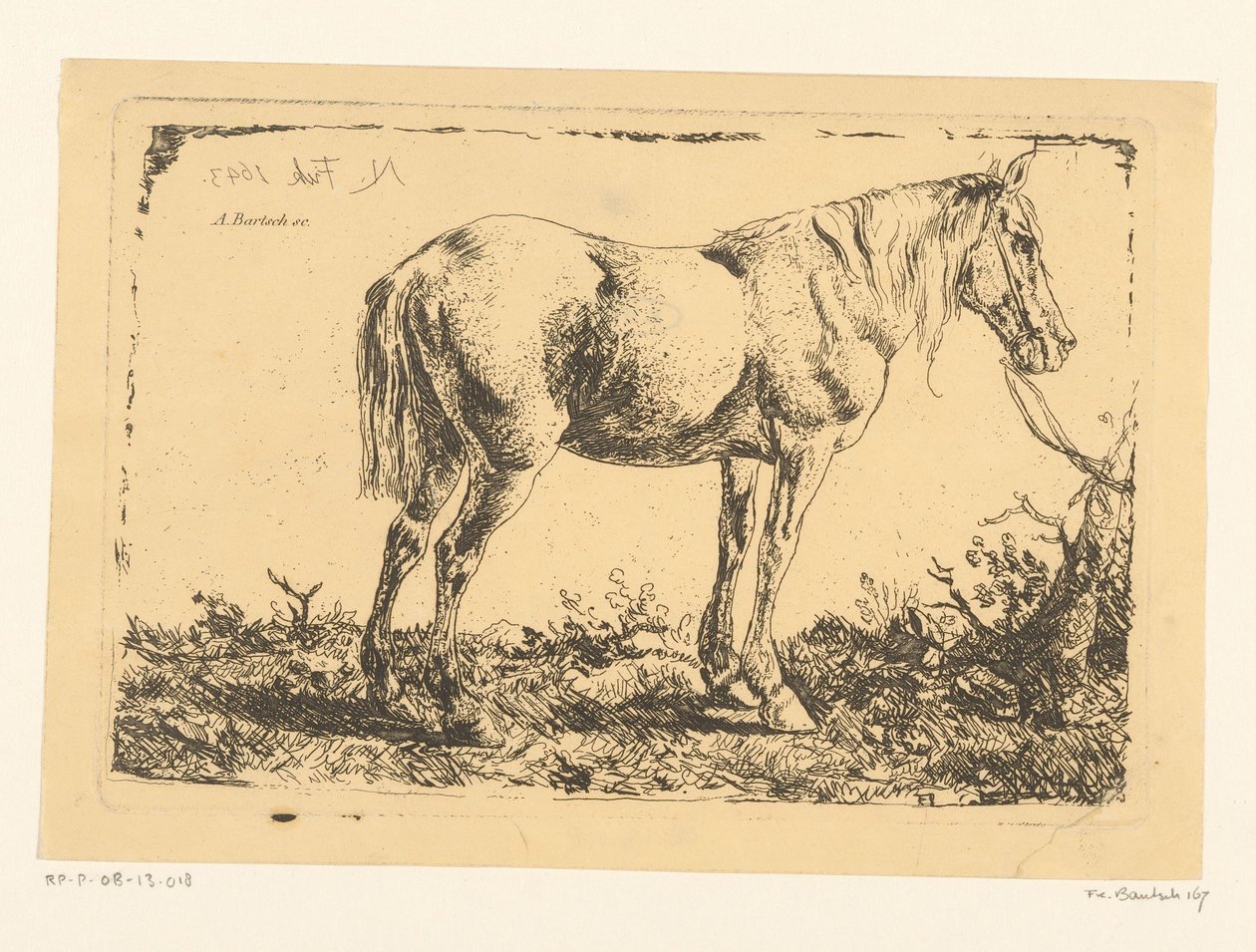Cavallo legato a un albero da Adam von Bartsch