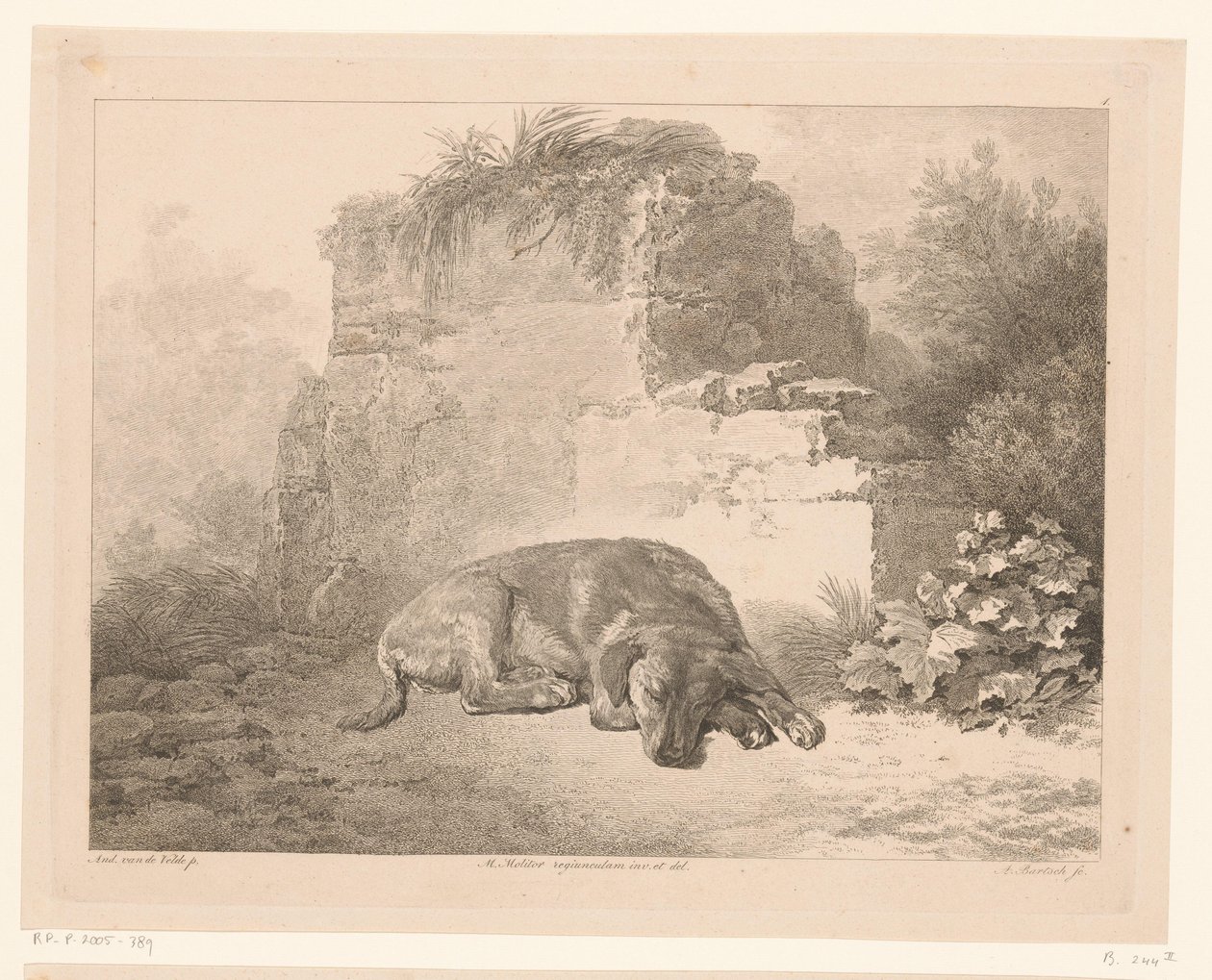Cane che dorme davanti a un muro da Adam von Bartsch