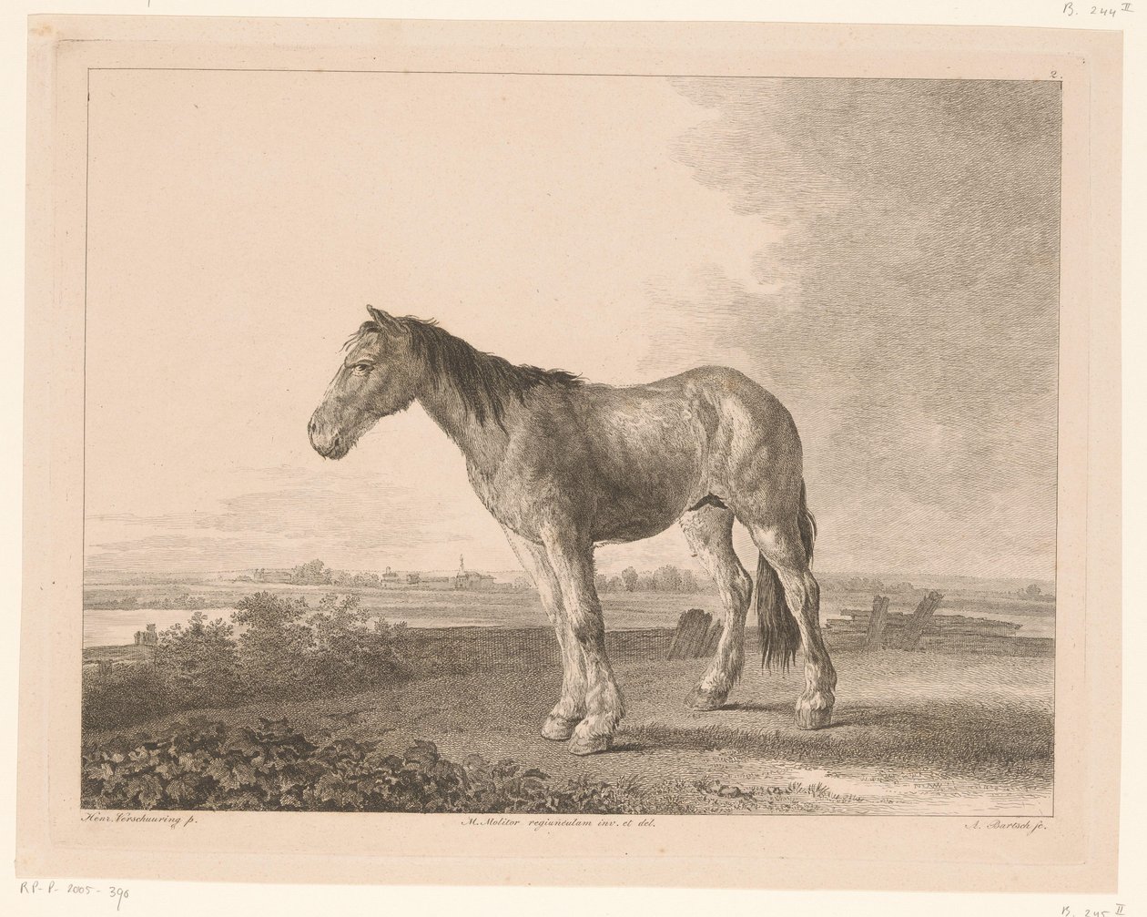 Cavallo in piedi in un paesaggio fluviale da Adam von Bartsch