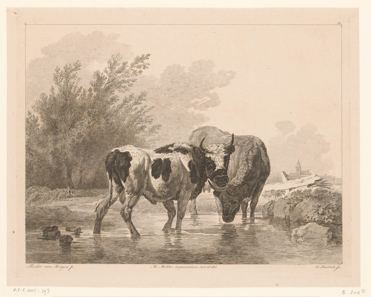 Due mucche in un ruscello da Adam von Bartsch