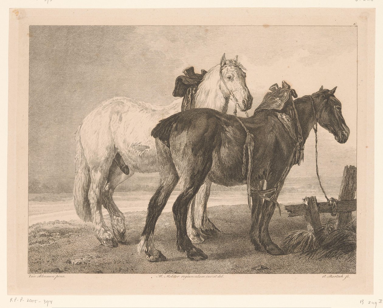 Due cavalli in un paesaggio fluviale da Adam von Bartsch